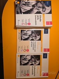 Il bello della letteratura vl3 9788830219052