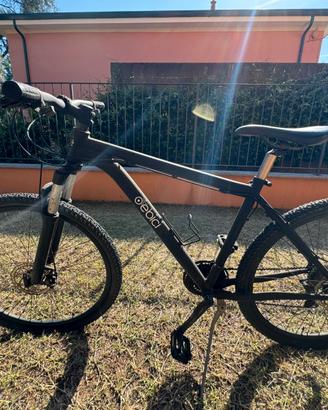 Bicicletta ragazzo