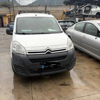 Ricambi Citroen Berlingo
