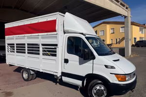 Iveco Daily 35c13 2.8 130cv trasporto animali vivi