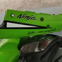 Kawasaki zx12r carene originali vernic.sbk leggi