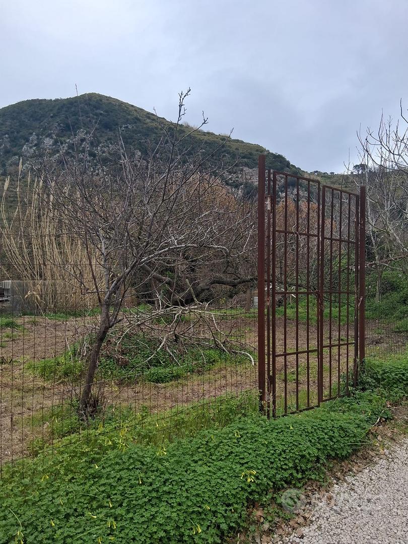 Terreno agricolo sull ' isola d 'Ischia - Vista 3