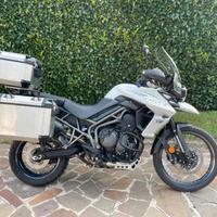 Triumph Tiger 800 XCX - 2019
