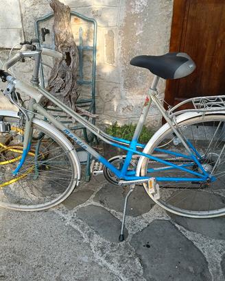bicicletta vintage 