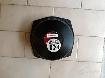 mid-range da 6,5 pollici B&C 120 rms