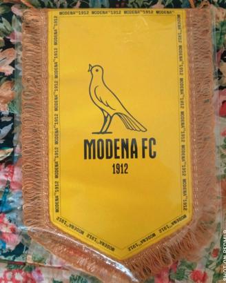 gagliardetto Modena Calcio 