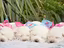 Immagine 3