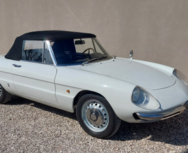Alfa Romeo Spider Duetto osso di seppia -epoca