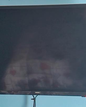 Smart tv philips 32 pollici la coppia