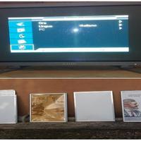 2 Monitor plasma Samsung 42 " e Cornici pubblicità