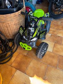 Quad elettrico