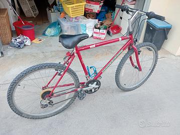 bici MTB