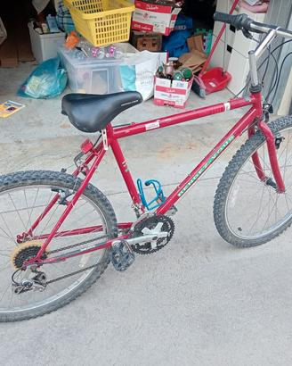 bici MTB