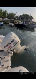 Evinrude 115 ficht ram