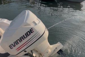 Evinrude 115 ficht ram
