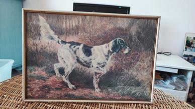 Stampa incorniciata quadro Setter
