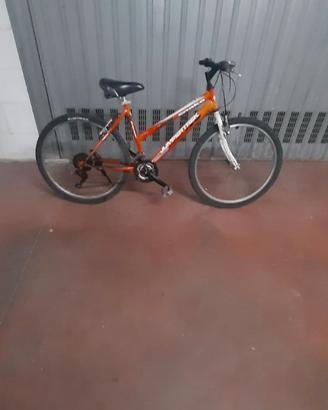 BICI MOUNTAIN BIKE 26 DA DONNA