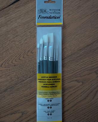 6 pennelli acrilici winsor & newton