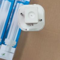 Lampadina