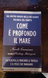 Com’è profondo il mare. La plastica, il mercurio, 