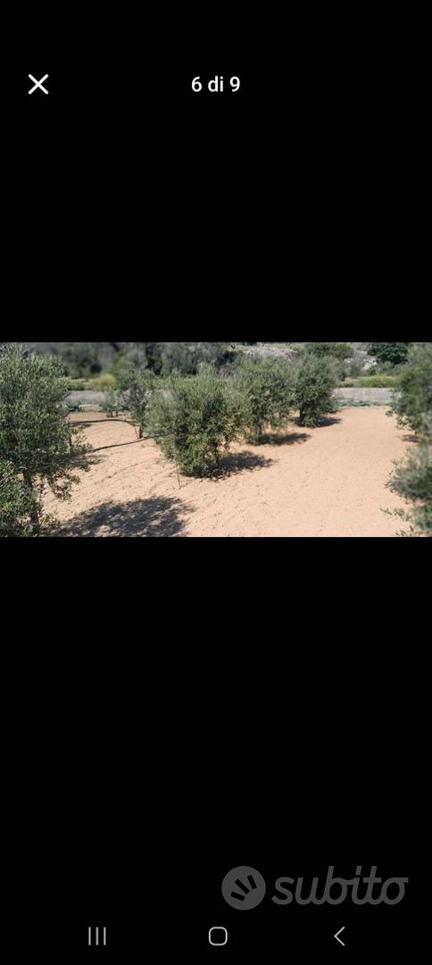 Terreno agricolo - Vista 3