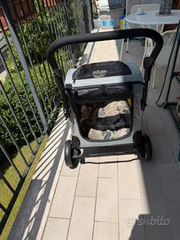 Passeggino per cani