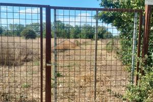 Terreno agricolo Via Casacelle