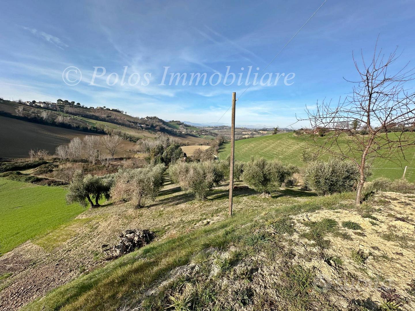 Casa colonica - Monte Giberto - Altro