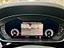 Immagine 19