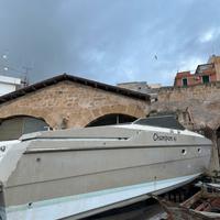 cigala e bertinetti champion 41