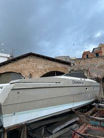 cigala e bertinetti champion 41