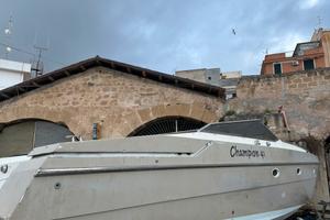 cigala e bertinetti champion 41