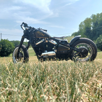 Kawasaki vulcain 800