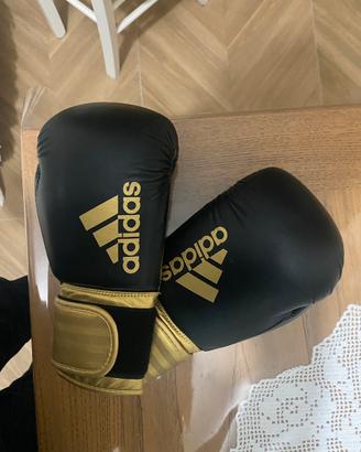 Guantoni da Boxe e kickboxing