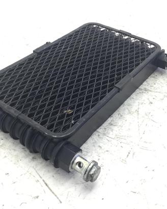 HYOSUNG AQUILA 250 RADIATORE OLIO E GRIGLIA 2017 K