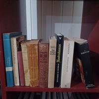 lotto 10 libri vari Nostradamus, ecc ecc..