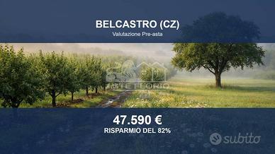 Immobile in asta di 83944 m² a Belcastro