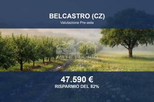 Immobile in asta di 83944 m² a Belcastro