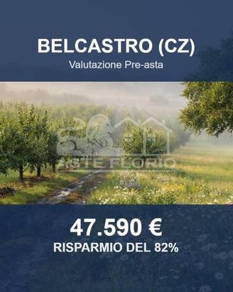 Immobile in asta di 83944 m² a Belcastro