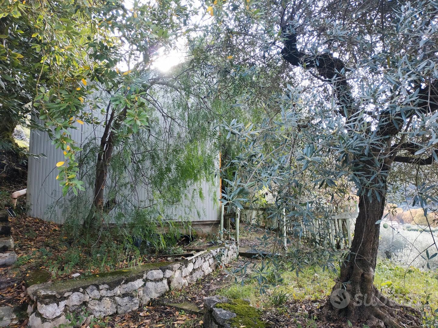Magazzino C2 eTerreno Agricolo Uliveto 3.1 Ettari - Vista 4