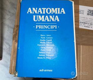 Principi di anatomia umana