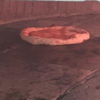 Pizzaiolo disponibile