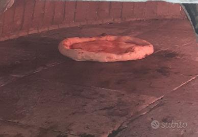 Pizzaiolo disponibile