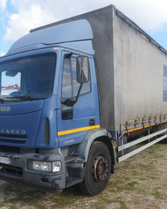 Iveco eurocargo 180e24 centinato