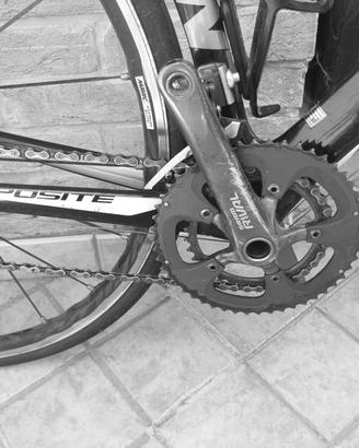 Bicicletta da strada Giant TCR