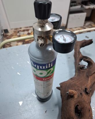 bombola acquario e tronco