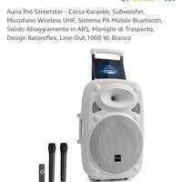 Cassa karaoke bluetooth a batteria potente