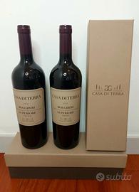 Bolgheri Superiore DOC" 2021 