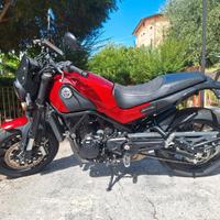 Leoncino Benelli 500