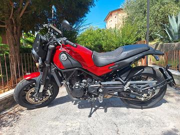 Leoncino Benelli 500